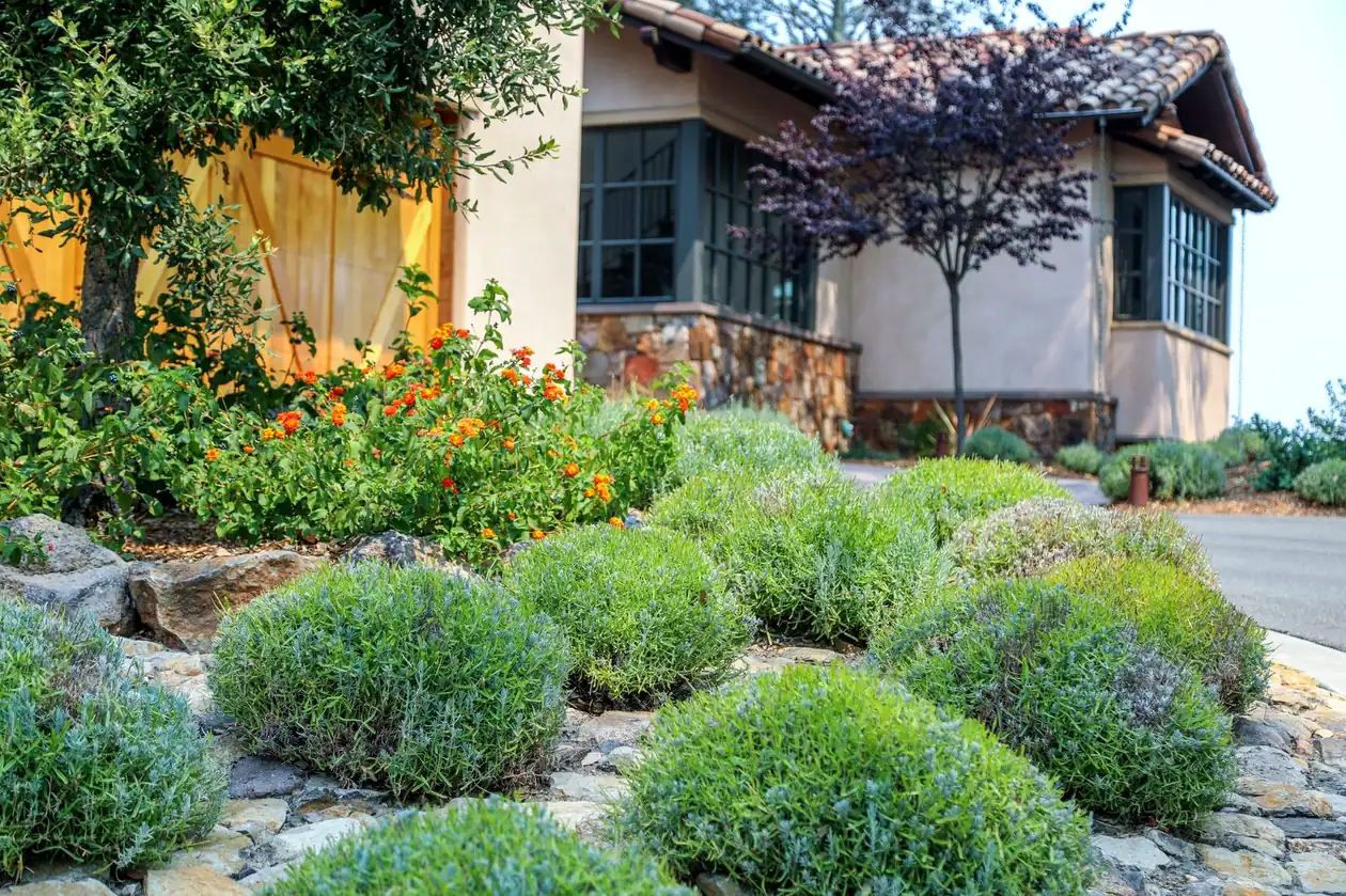 Mounds of lavender and orange lantana in front of a stone-based stucco house