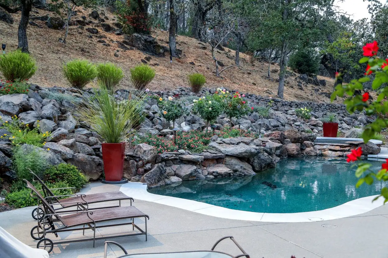 A pool framed by boulders, standard roses and ornamental grasses against a hillside