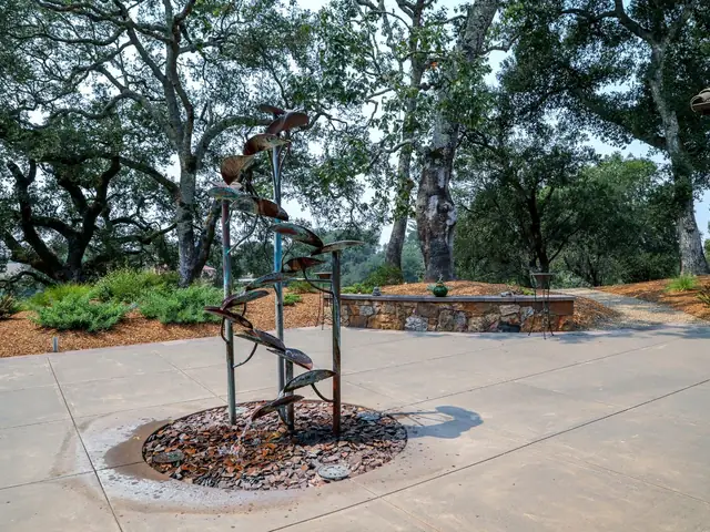A copper-leaf fountain in a patio planting