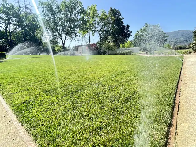 A healthy lawn with sprinklers running in morning light