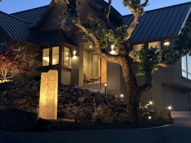 A modern home at night with an olive tree and stone lit from below